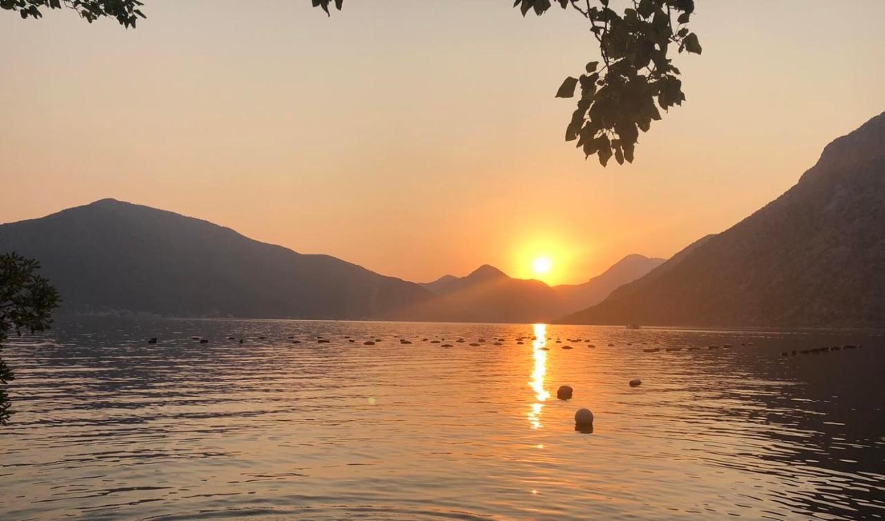 Vacanza, Sea View Kotor Eksteriør bilde